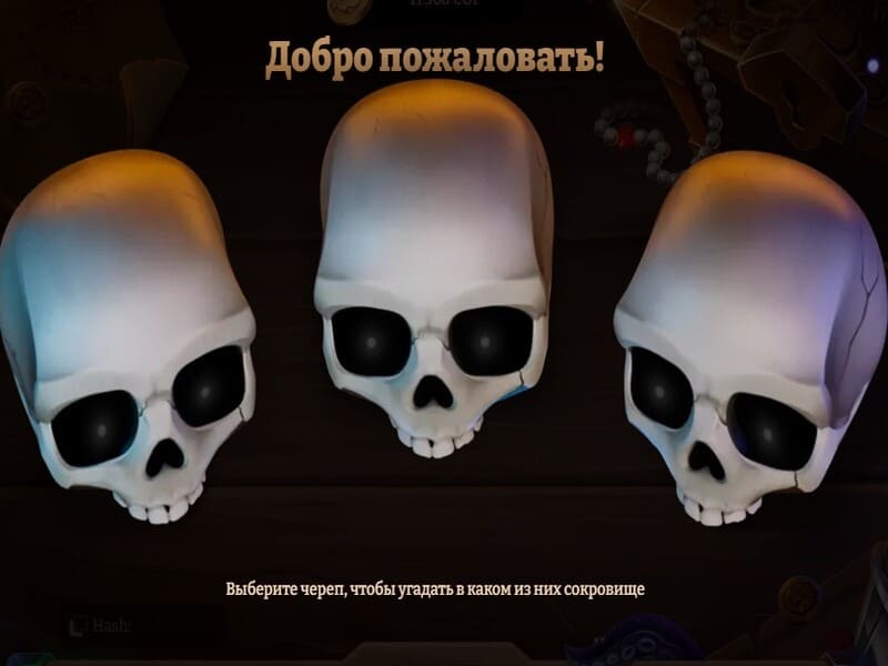 Over het spel Brawl Pirates Over het spel Brawl Pirates